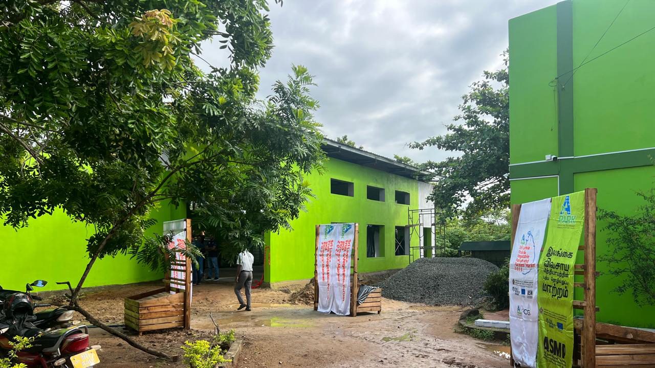 Jumbo Peanut Processing Center